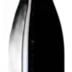 photo du vin Nuits st Georges Gouges 2021 Aop