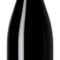 image du vin Nuits st Georges Cru les Pruliers 2018 Domaine Gouges