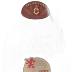 illustration du vin Chinon "Clos de l'Écho" 2019 Couly-Dutheil Aoc