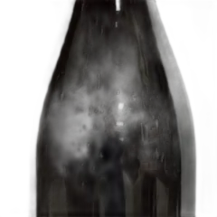 photo du vin st Nicolas de Bourgueil "les Echaillons" de Neuville