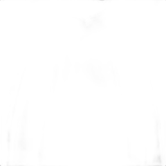 vue du vin Ayala Brut Majeur