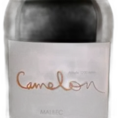 aperçu du vin Malbec Cameleon 2022 2023 Argentine Rouge Bio 75 C