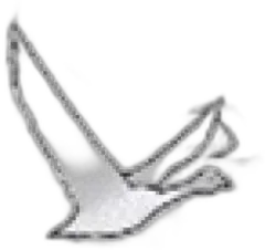 illustration du vin Grey Goose Vodka France