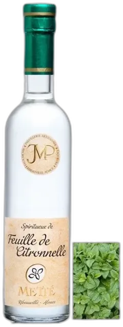vue du vin Citronnelle Mette Eau de Vie Alsace