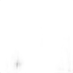 photos du vin Fleur Bouillon Blanc de Miscault Eau de Vie Alsace