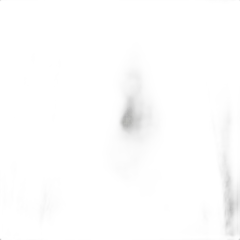 capture du vin Sureau Noir de Miscault Eau de Vie Alsace