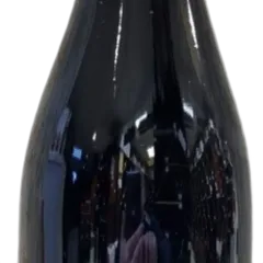 image du vin Chevalier de Minière Bourgueil Bio Aop