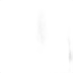 photos du vin Bourgeon de Sapin de Miscault Eau de Vie Alsace