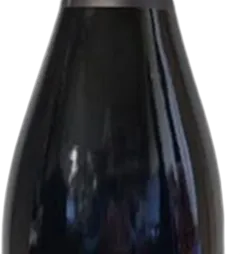 photo du vin Crémant Welty Blanc de Noirs Brut Nature Alsace Bio