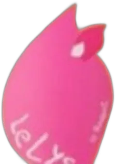 illustration du vin le Lys Buzet Aoc