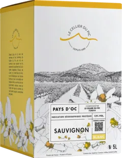 photo du vin Bib Sauvignon Cellier du Pic 5 Litres