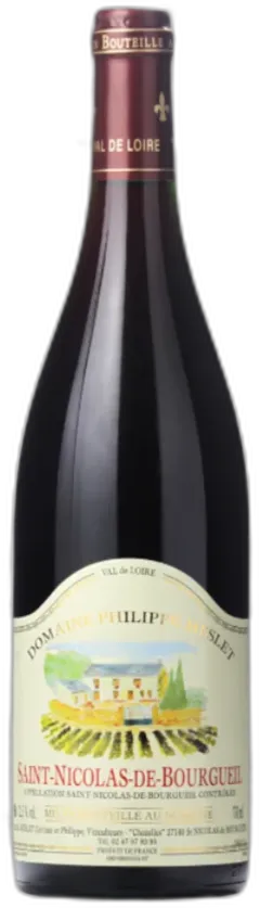 vue du vin st Nicolas de Bourgueil-Domaine Meslet