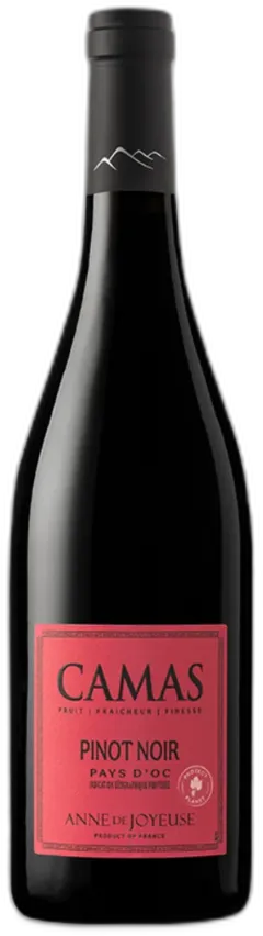 vue du vin Camas Pinot Noir Anne de Joyeuse