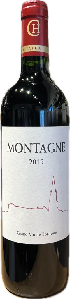 vue du vin Montagne Saint Emilion