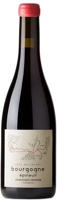 vue du vin Côte de Grisey