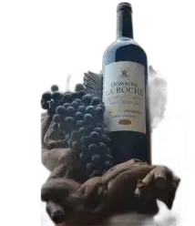 image du vin Domaine la Roche 2019