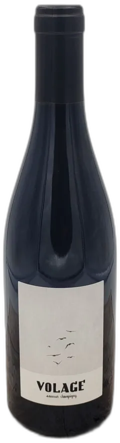 image du vin Saumur-Champigny "Volage" les Clos Maurice
