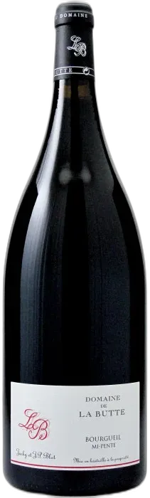 vue du vin Bourgueil mi-Pente 2022 Magnum