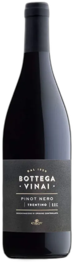 photo du vin Trentino Pinot Nero Doc 2023 Bottega Vinai