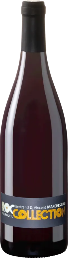 photos du vin Laurent Fauvy Printemps