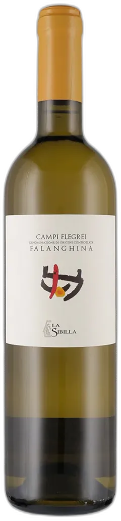 aperçu du vin Campi Flegrei Doc Falanghina la Sibilla 2024