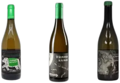 vue du vin Découverte les Blancs du Chateau Combel la Serre