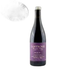 illustration du vin Yann Bertrand, Beaujolais Villages Lantignie 2024