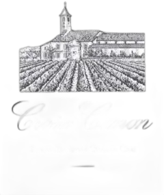 photo du vin Croix Canon 2019