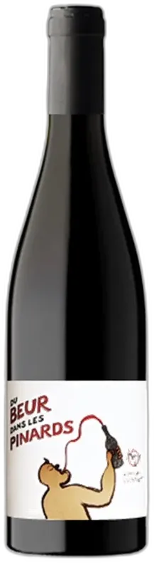photo du vin Karim Vionnet Beaujolais Villages du Beur Dans les Pinards