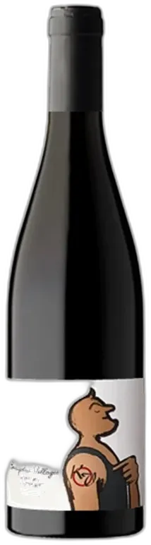 photos du vin Karim Vionnet Beaujolais Villages Cuvée kv 2021