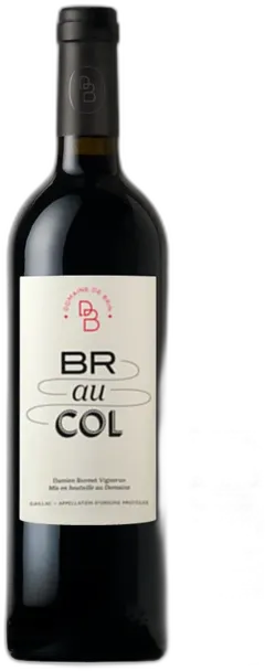 image du vin Domaine de Brin Gaillac Braucol 2022