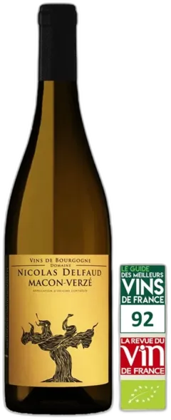 vue du vin Nicolas Delfaud Mâcon-Verzé