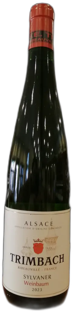 vue du vin Sylvaner Weinbaum