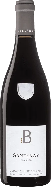 image du vin Domaine Julie Belland Charmes