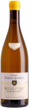 photo du vin Domaine Dureuil-Janthial Bourgogne Blanc 2020