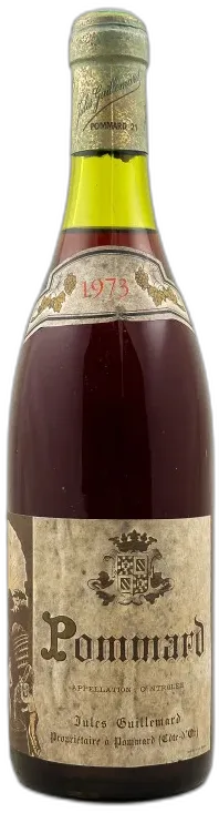 vue du vin Jules Guillemard Pommard