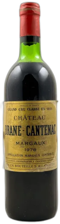vue du vin Brane Cantenac Margaux