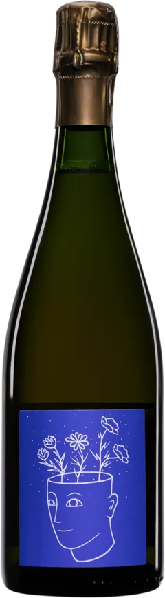 image du vin Domaine Thimothée Stroebel Champagne Brut Nature 1er Cru "Stroebel Pour Toi ! - Vendanges 2017- 2018" Blanc nv