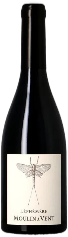 vue du vin Jules Desjourneys Moulin à Vent l’Ephémère