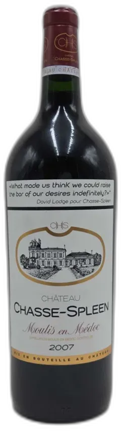 illustration du vin Château Chasse Spleen 2007