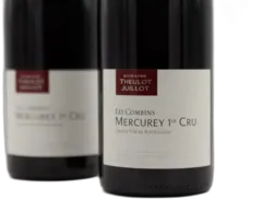 image du vin Mercurey Rouge 1er Cru les Combins