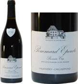vue du vin Pommard 1er Cru 