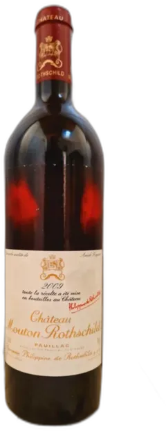 vue du vin Château Mouton Rothschild 2009 Aoc Pauillac