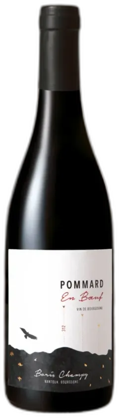 vue du vin Pommard en Boeuf 2020 Domaine Boris Champy