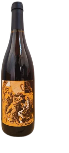photo du vin Domaine Gangloff Saint-Joseph Rouge 2019