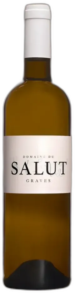 image du vin Domaine du Salut Aoc Graves 2022 Blanc
