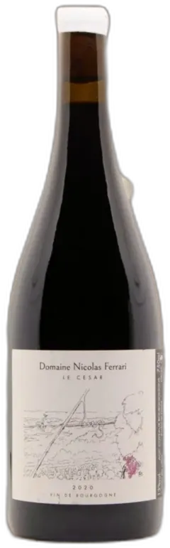 photo du vin Magnum] Domaine Christophe Ferrari le César 2020 Aoc Côteaux Bourguignons