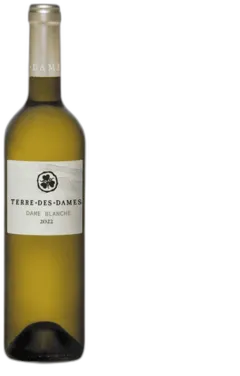 photo du vin Terre des Dames Dame Blanche
