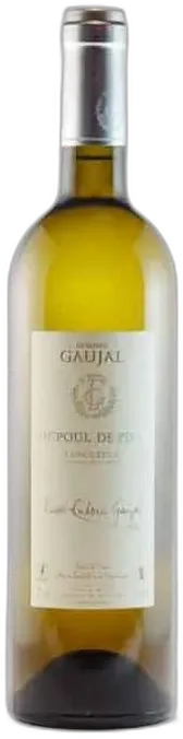 vue du vin Ludovic Gaujal Picpoul de Pinet