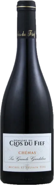 image du vin Domaine du Clos du Fief Chénas "les Grands Gandelins" 2023